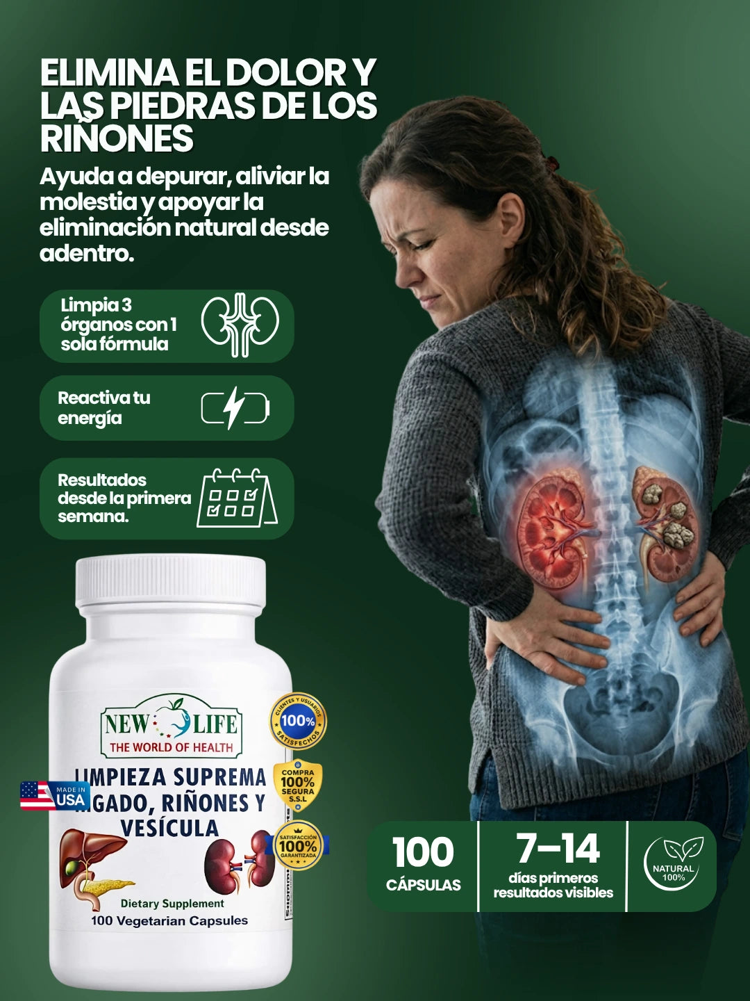 Limpieza profunda de Hígado Riñones y vesícula