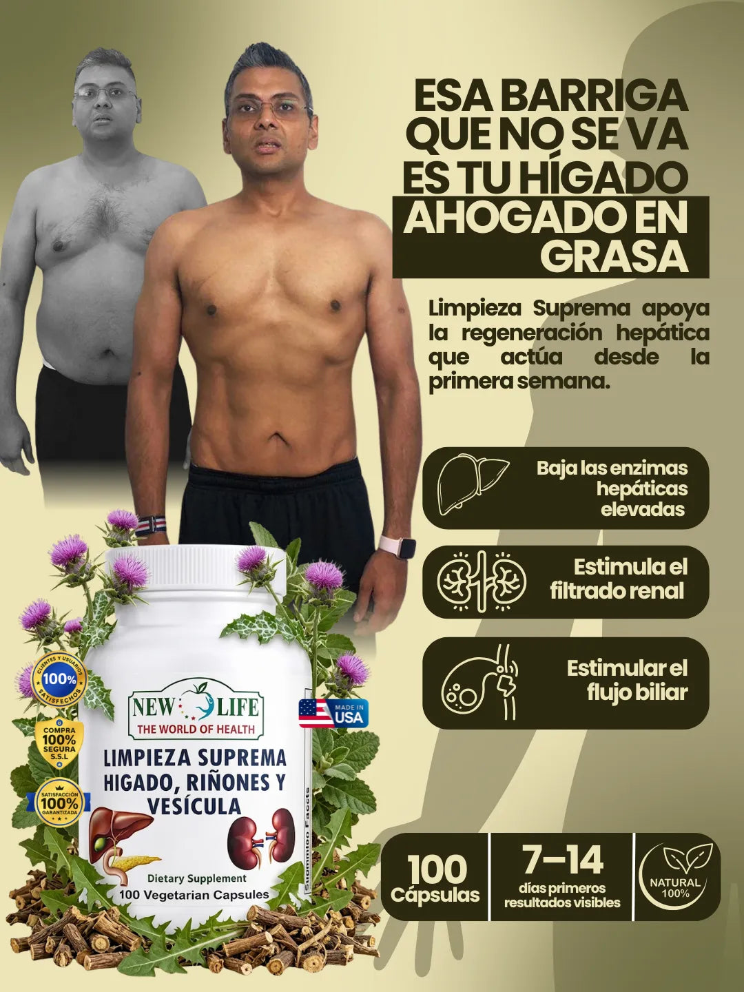 Desintoxicación de Hígado